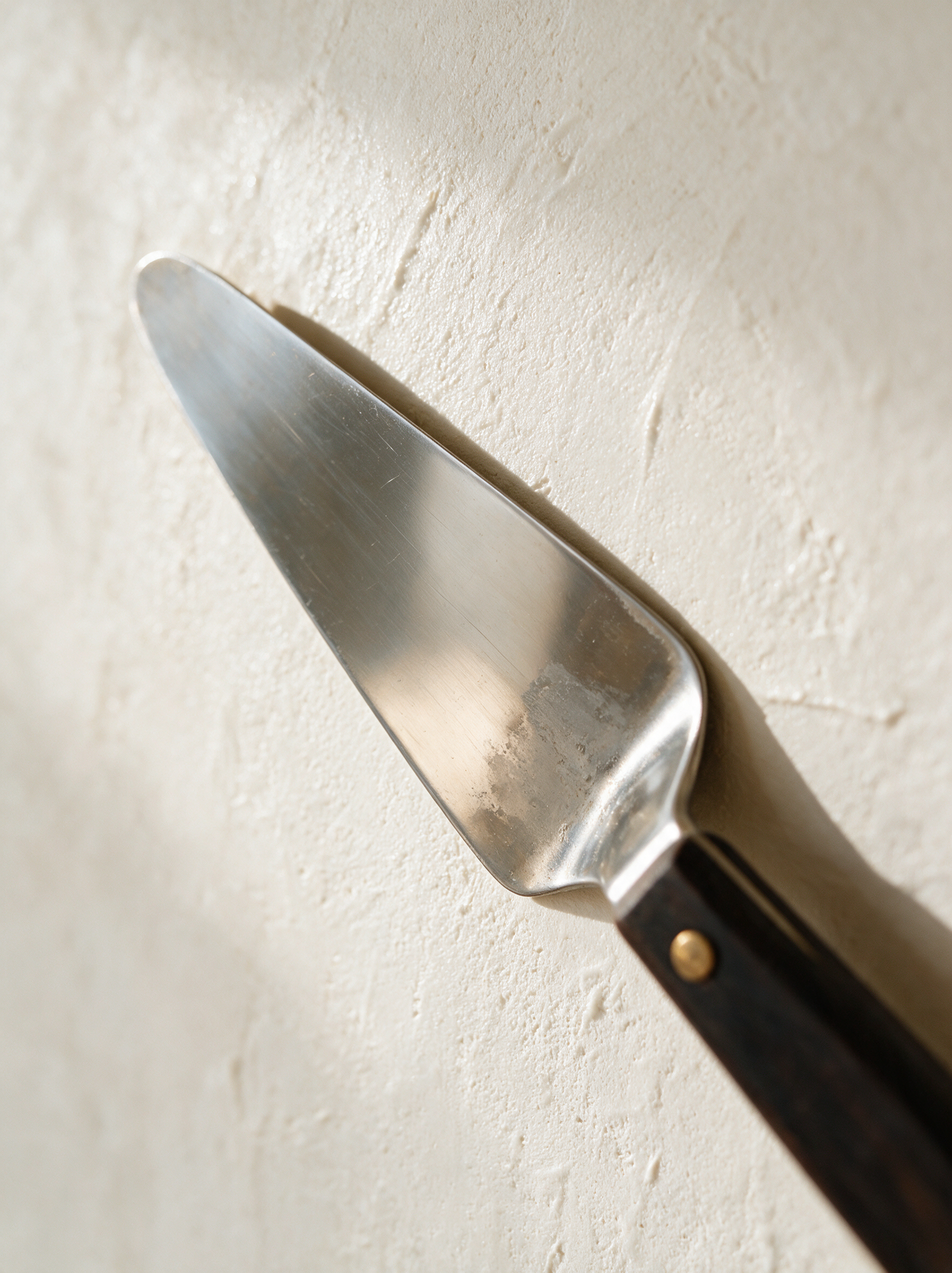 Glaettkelle an frisch abgezogener Kalkputzwand